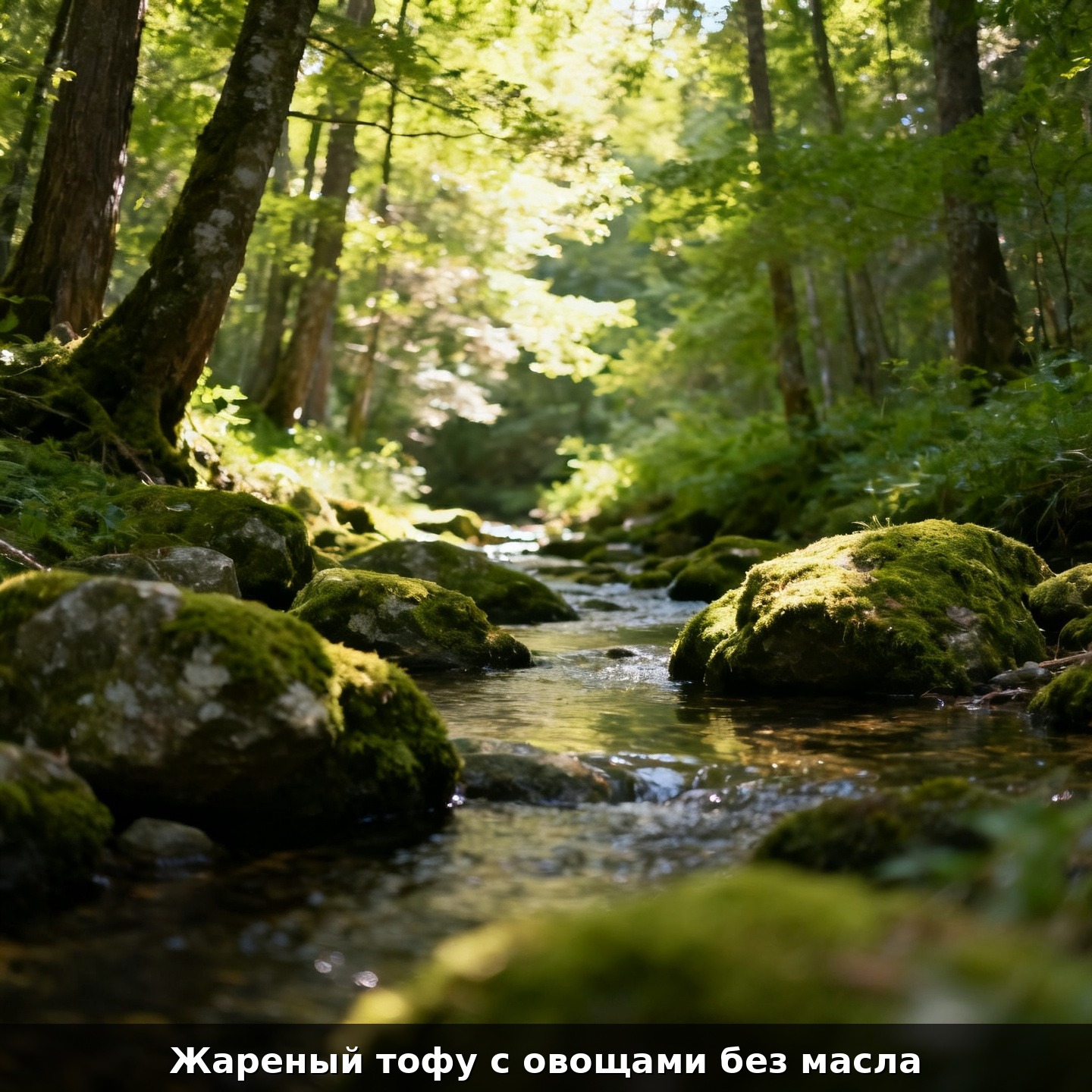 Жареный тофу с овощами без масла
